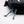Gadget / Toiletry Pouch